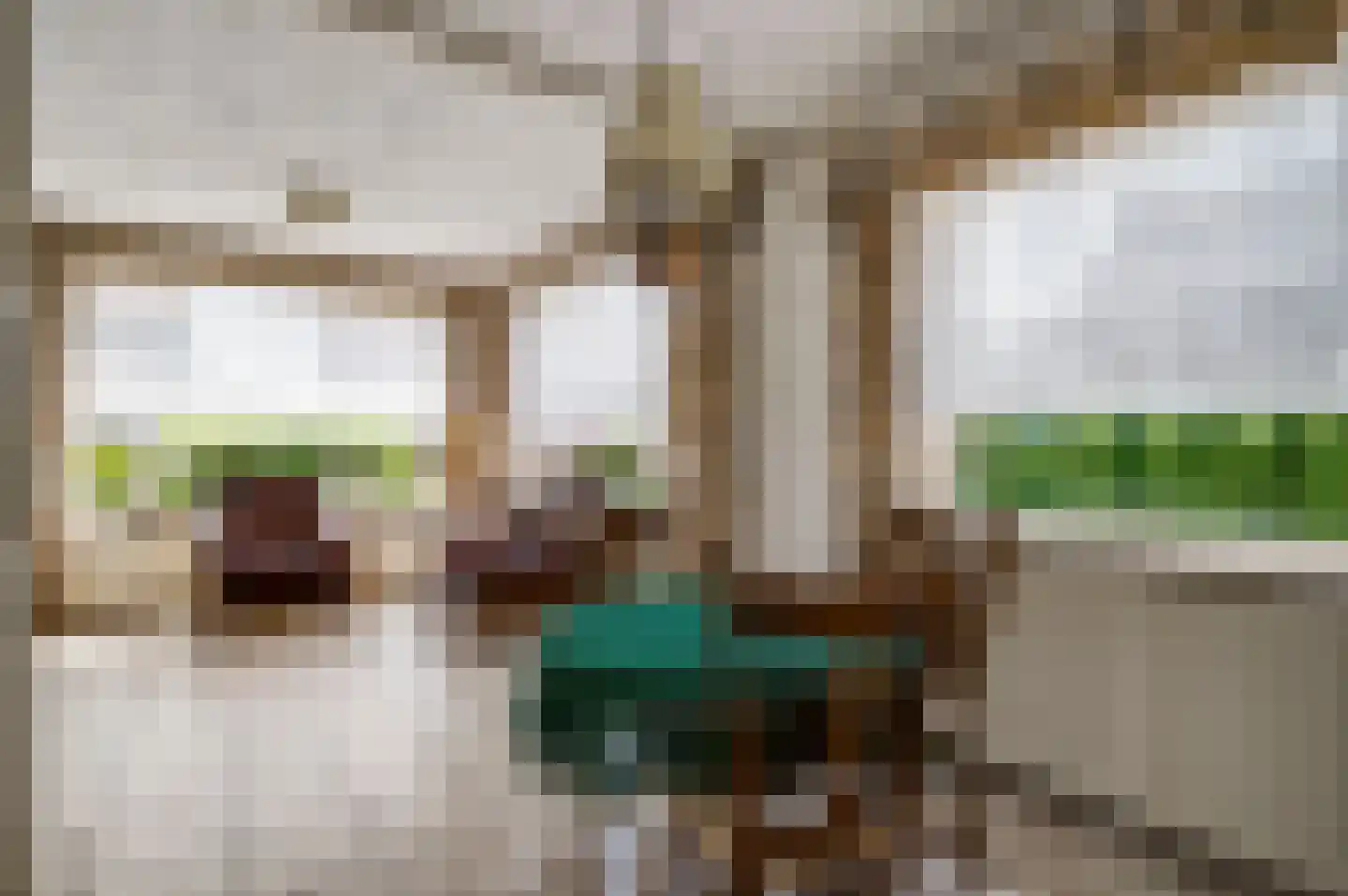 Gertrudisstraat 10 Oirlo thumbnail 29