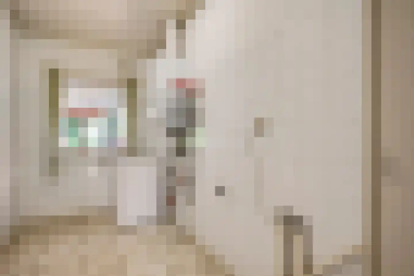 Gertrudisstraat 10 Oirlo thumbnail 31