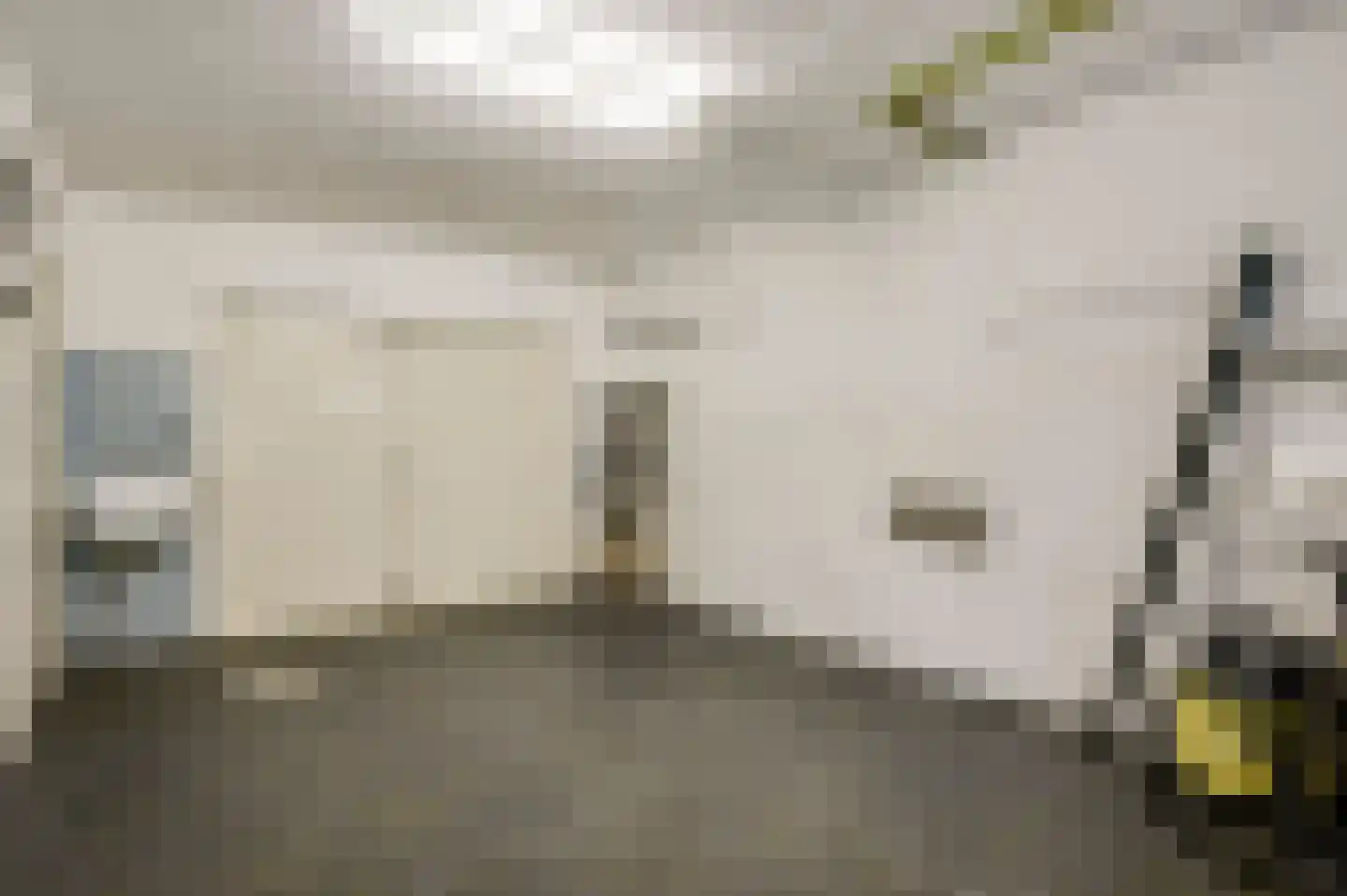 Gertrudisstraat 10 Oirlo thumbnail 33