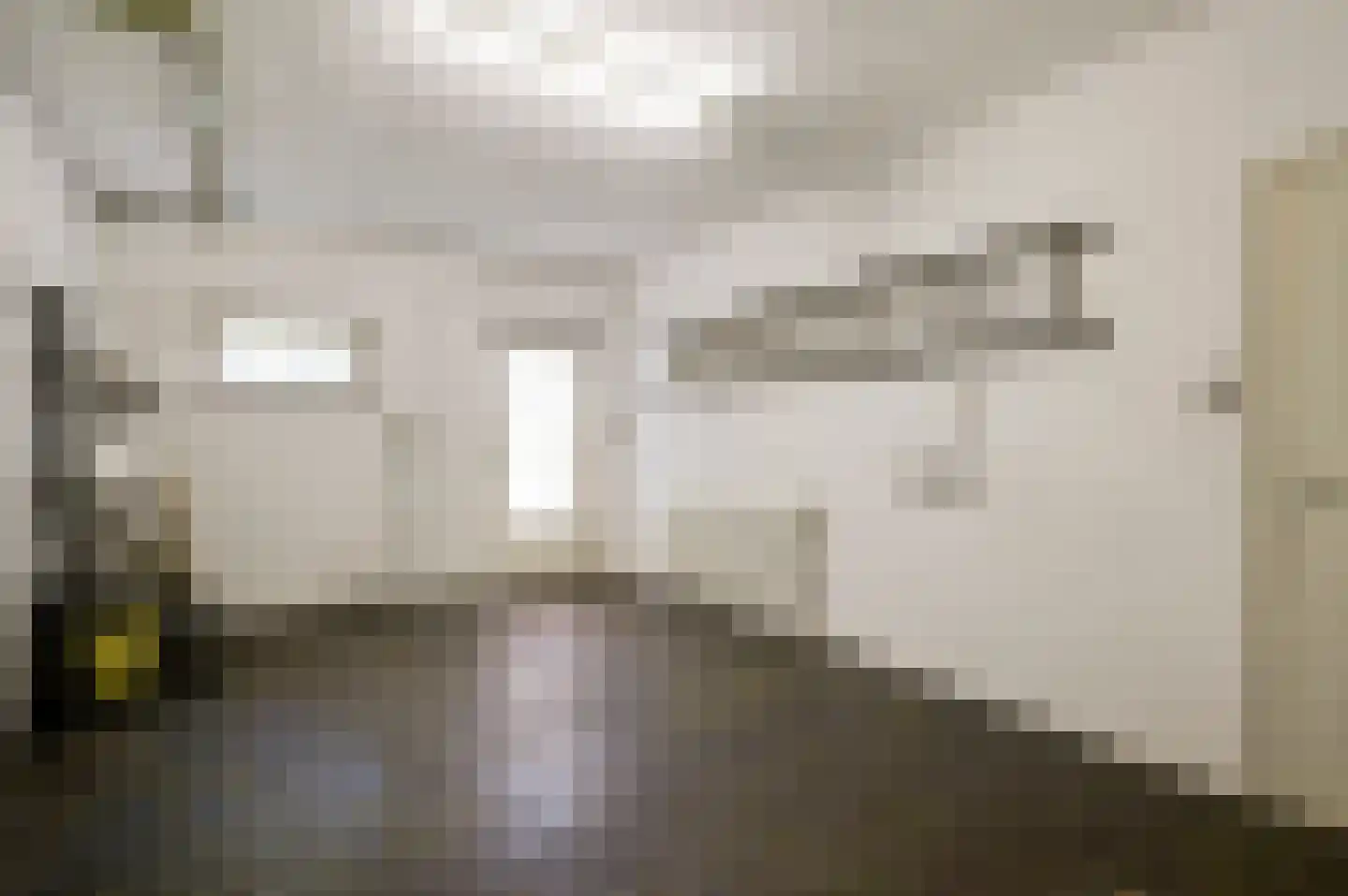 Gertrudisstraat 10 Oirlo thumbnail 34