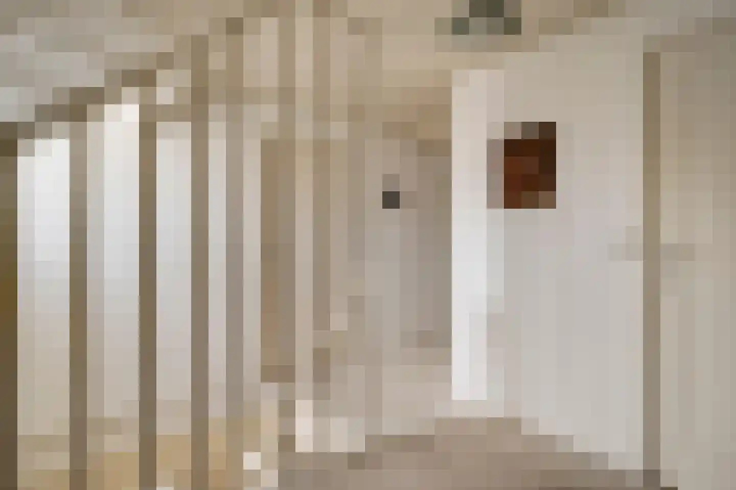 Gertrudisstraat 10 Oirlo thumbnail 36