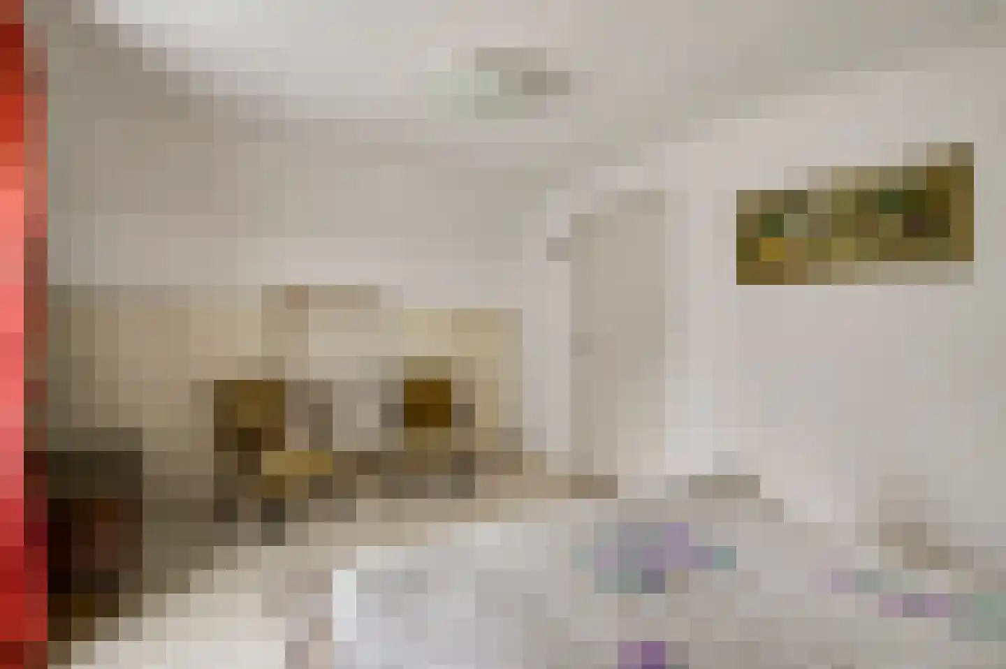 Gertrudisstraat 10 Oirlo thumbnail 37