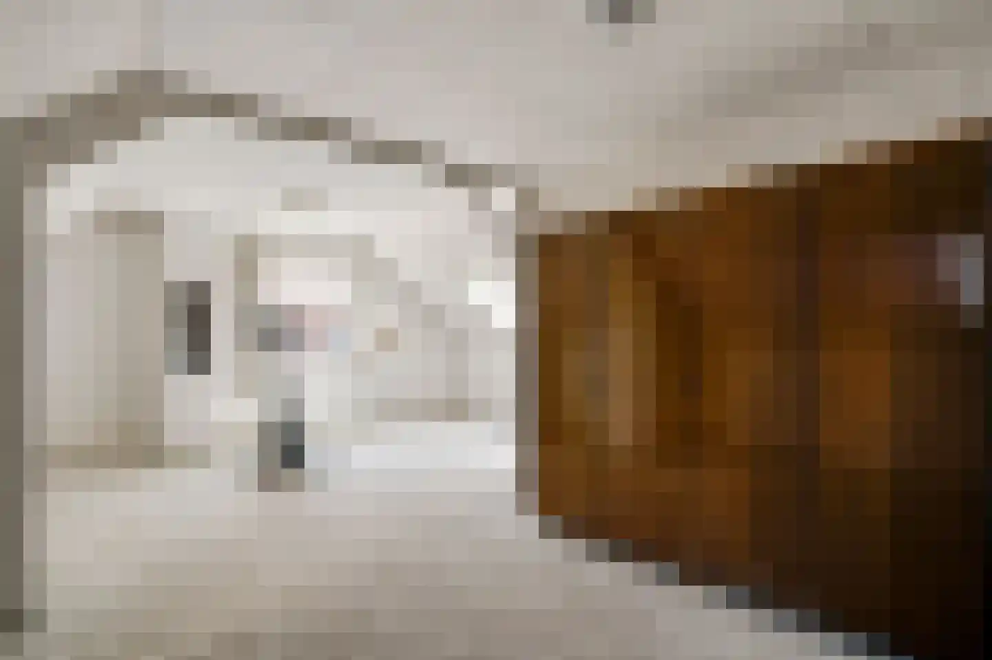 Gertrudisstraat 10 Oirlo thumbnail 38