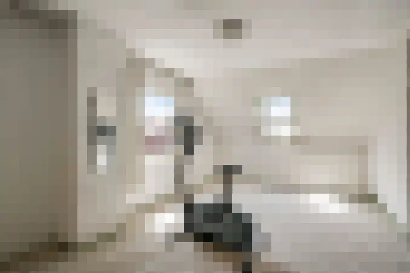 Gertrudisstraat 10 Oirlo thumbnail 41