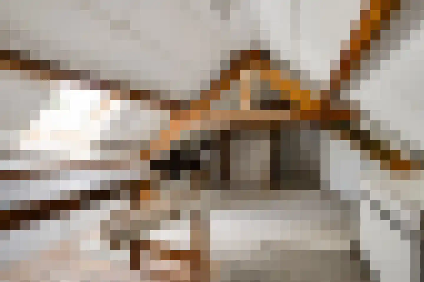 Gertrudisstraat 10 Oirlo thumbnail 49
