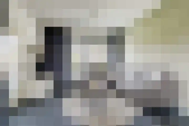 Gertrudisstraat 27 Oirlo thumbnail 4