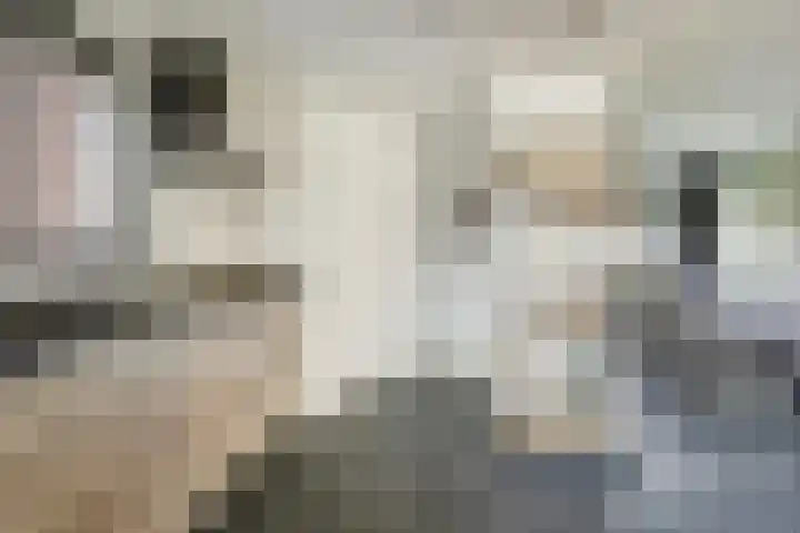 Gertrudisstraat 27 Oirlo thumbnail 9