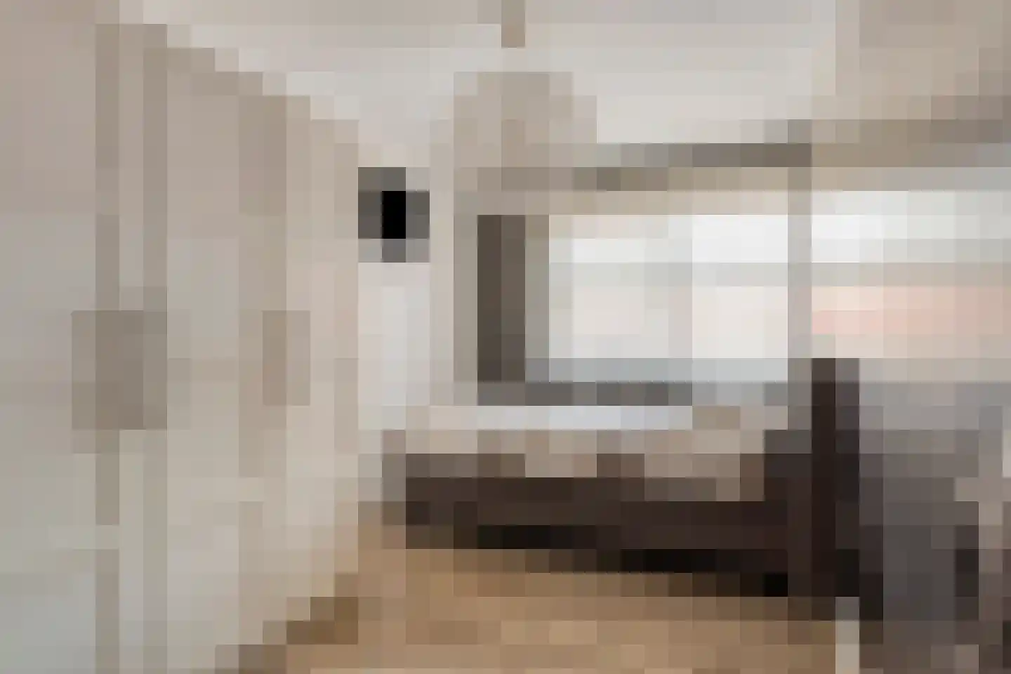 Gertrudisstraat 6 St. Willebrord thumbnail 20