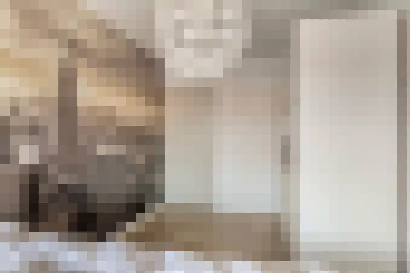 Gertrudisstraat 6 St. Willebrord thumbnail 21