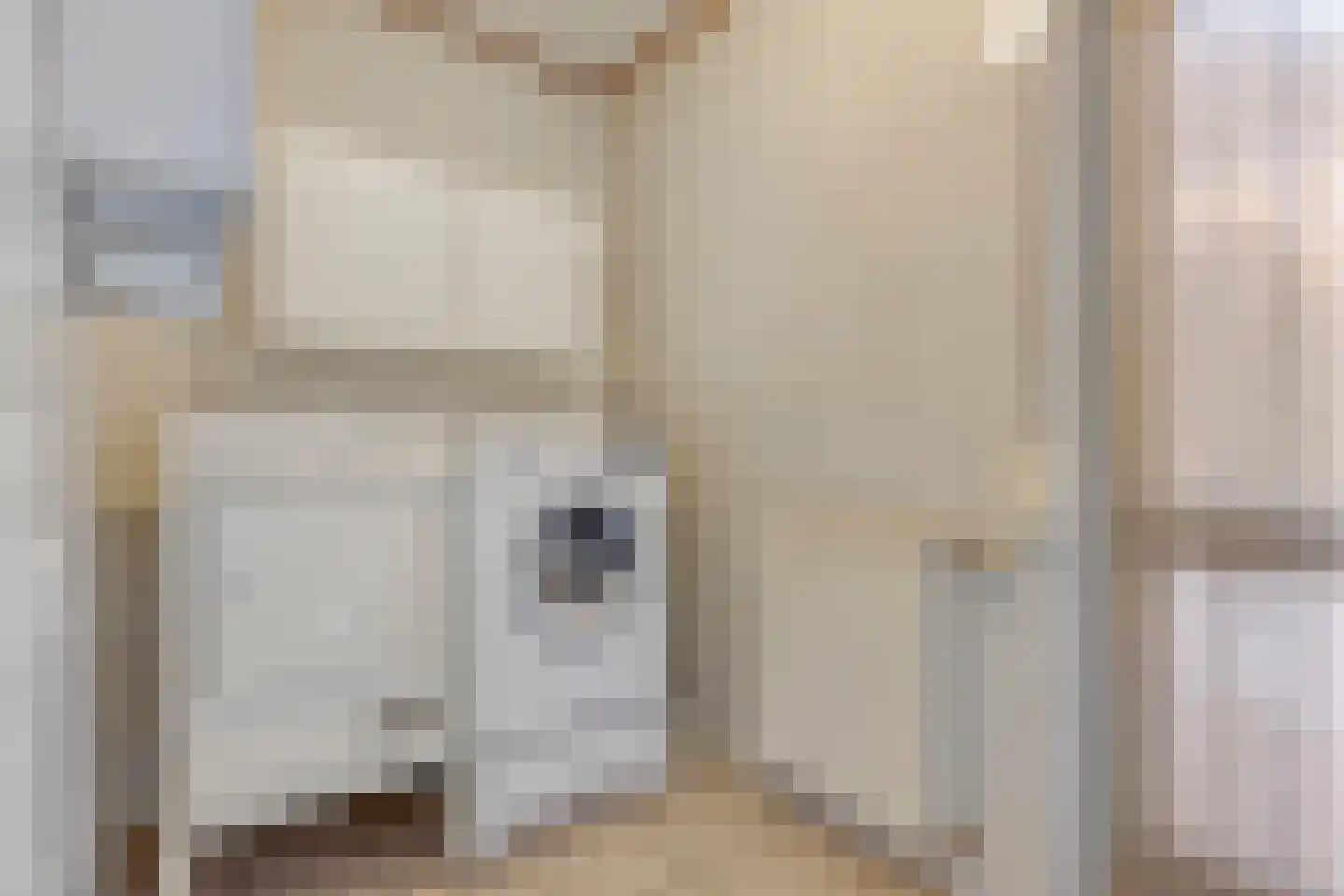 Gertrudisstraat 6 St. Willebrord thumbnail 22