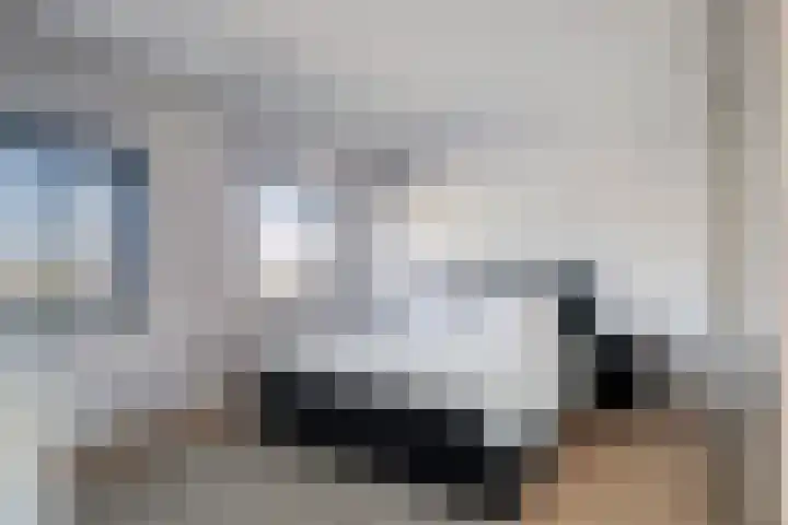 Gertrudisstraat 7 Oirlo thumbnail 21