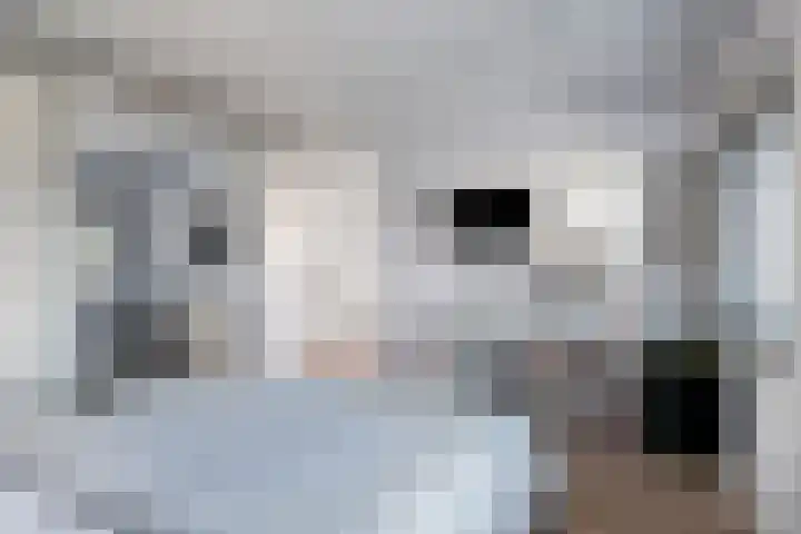 Gertrudisstraat 7 Oirlo thumbnail 22