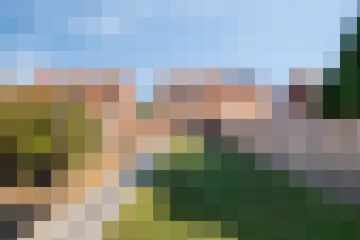 Gertrudisstraat 7 Oirlo thumbnail 35