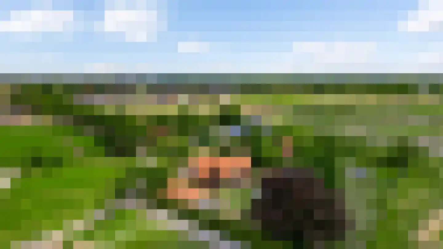 Gertrudisstraat 8 Weert thumbnail 9