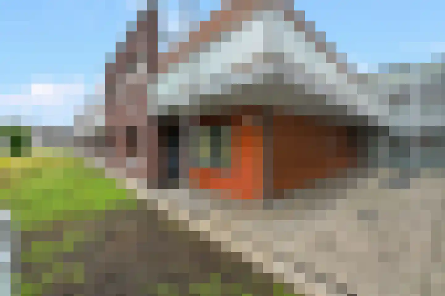Gervenhof 34 Putten thumbnail 4