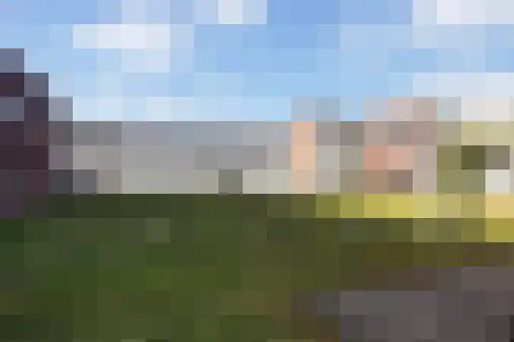 Gervenhof 62 Putten thumbnail 43
