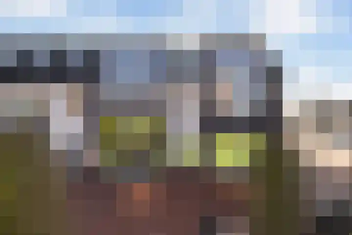 Gervenhof 62 Putten thumbnail 6
