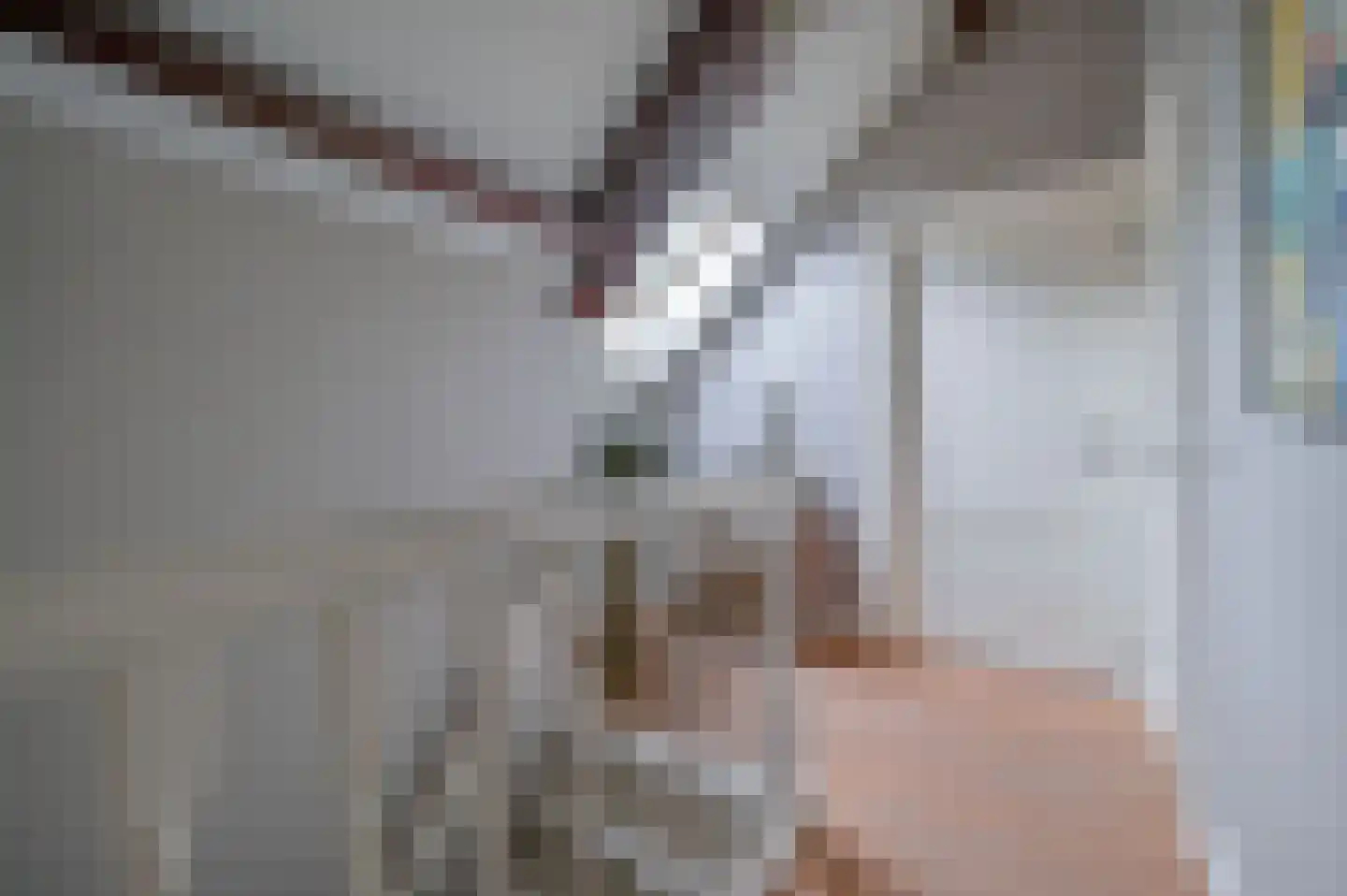 Gervenseweg 24 Putten thumbnail 29