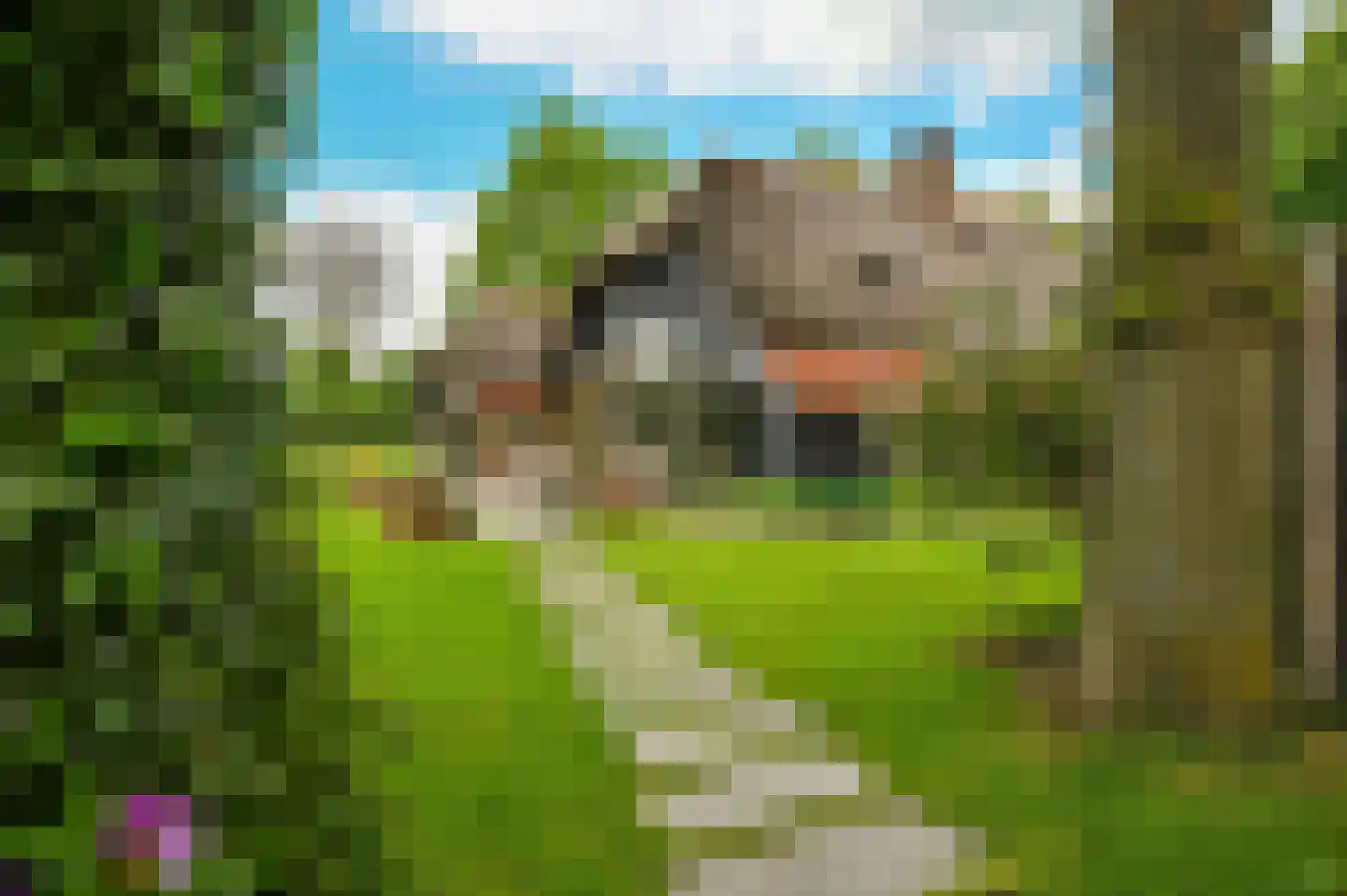 Gervenseweg 24 Putten thumbnail 38