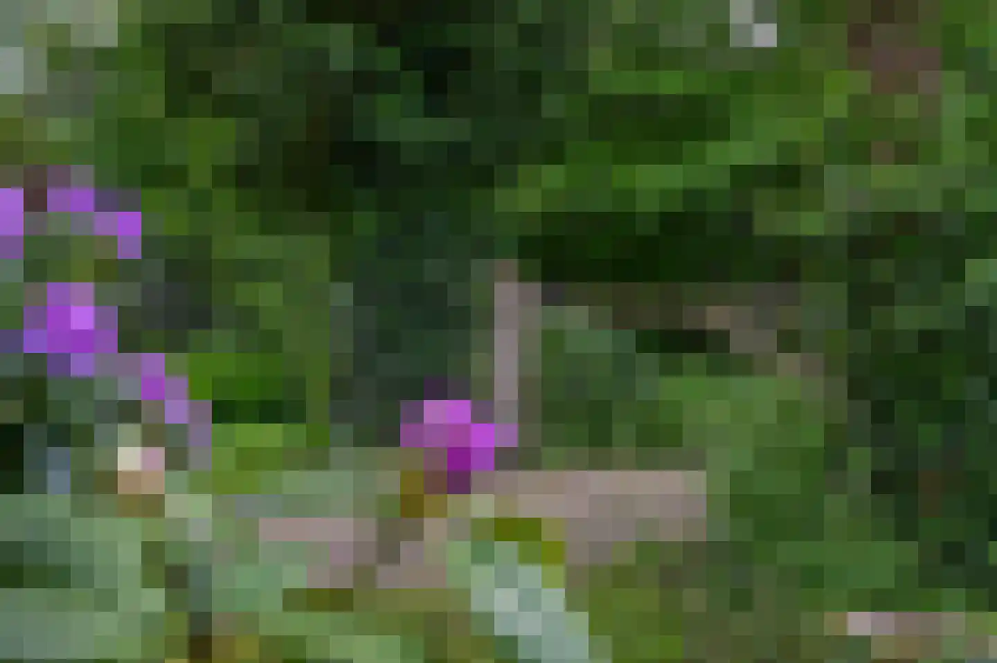 Gervenseweg 24 Putten thumbnail 58