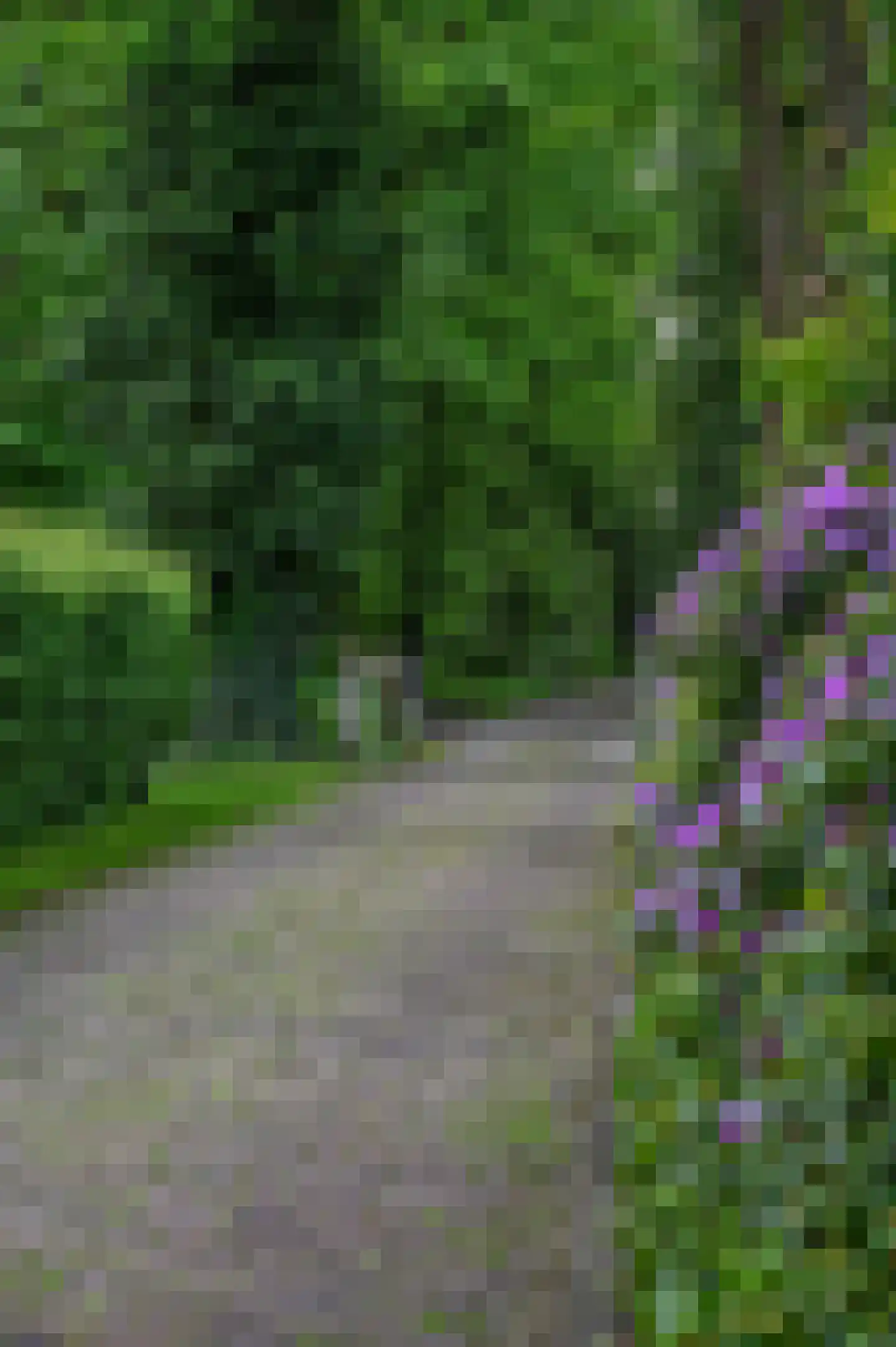 Gervenseweg 24 Putten thumbnail 59