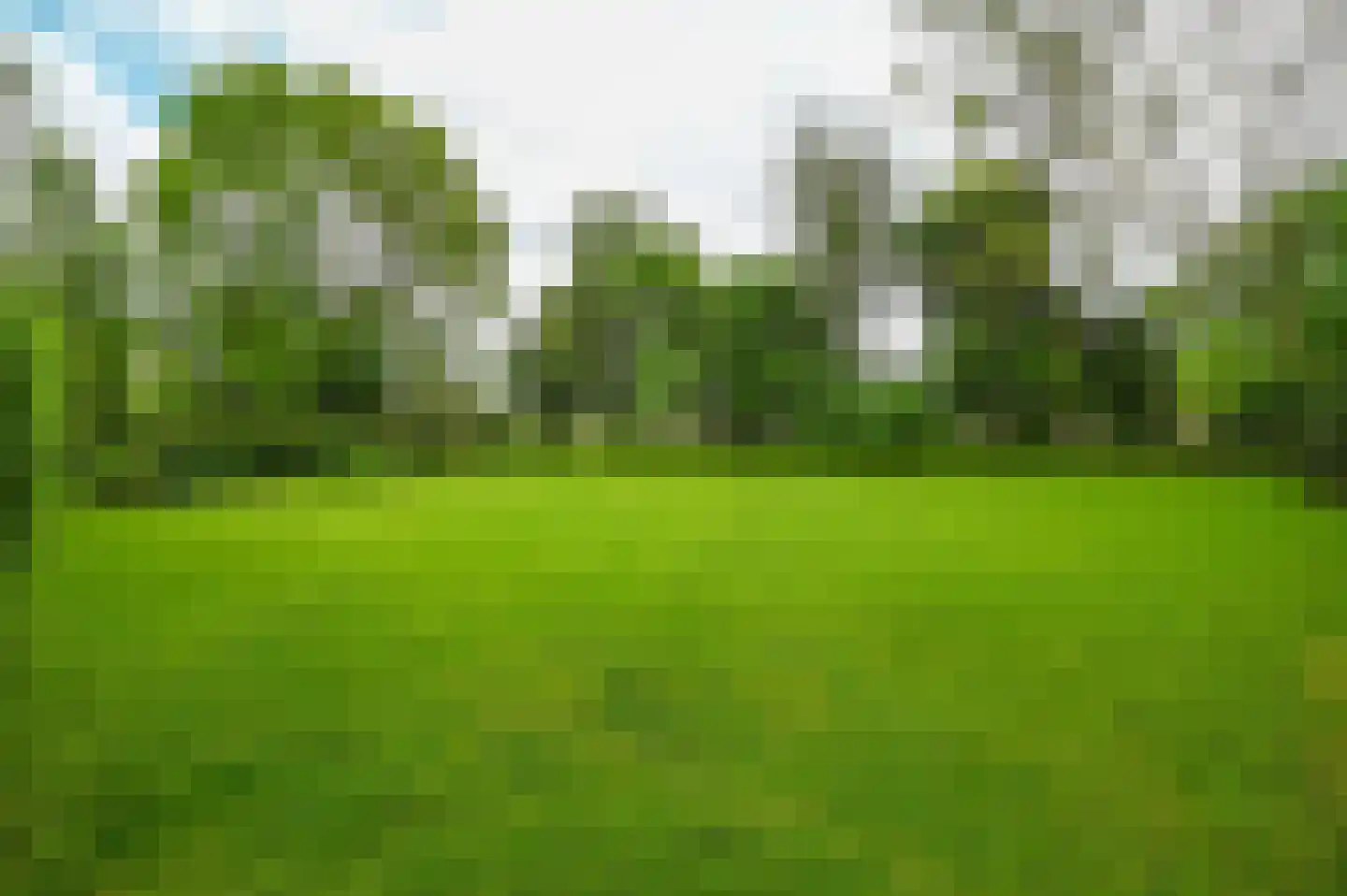 Gervenseweg 24 Putten thumbnail 61