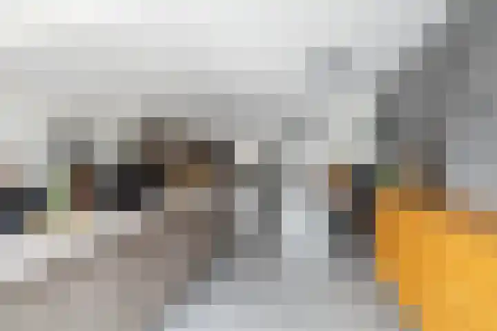 Gervenveld 12 Middenbeemster thumbnail 12