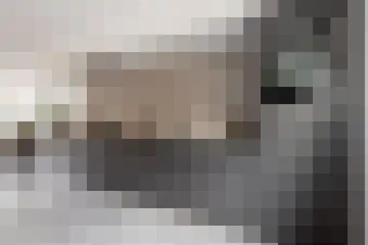 Gervenveld 12 Middenbeemster thumbnail 17