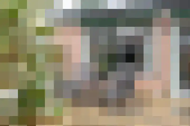 Gervenveld 12 Middenbeemster thumbnail 33