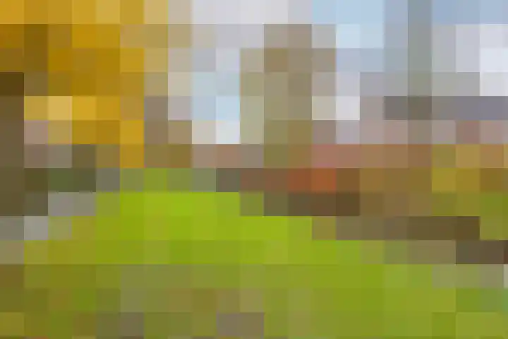 Gervenveld 12 Middenbeemster thumbnail 35