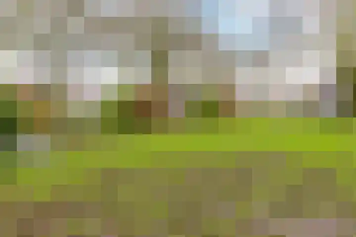 Gervenveld 12 Middenbeemster thumbnail 36