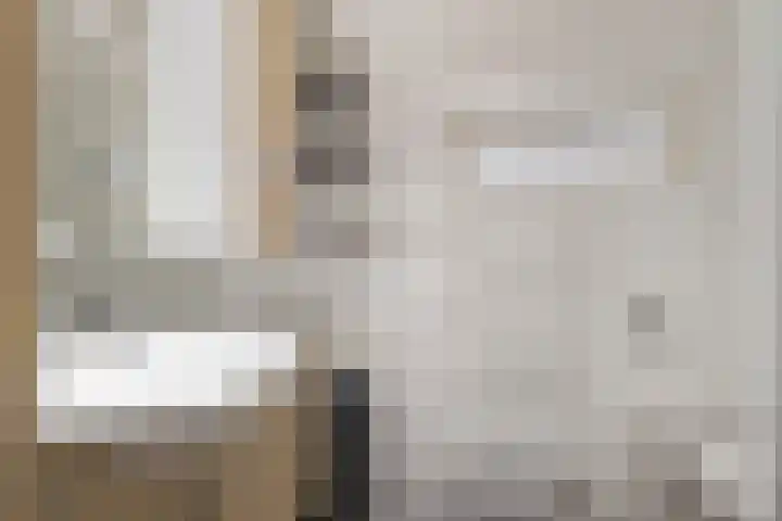 Gervinsland 24 Middelburg thumbnail 11