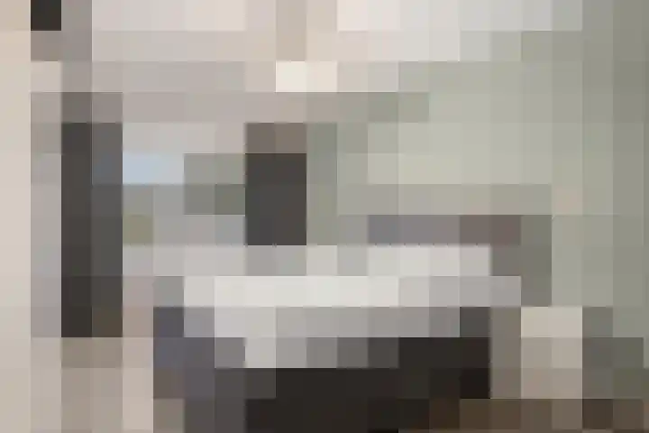 Gervinsland 24 Middelburg thumbnail 12