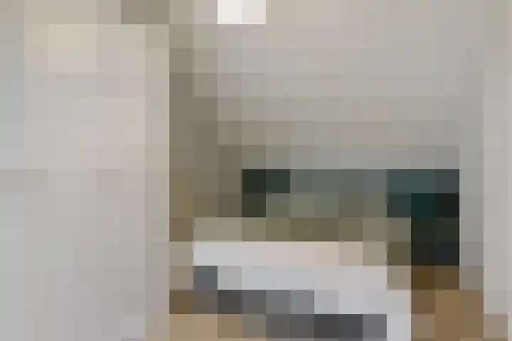Gervinsland 24 Middelburg thumbnail 17