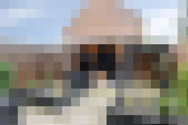 Gervinsland 24 Middelburg thumbnail 7