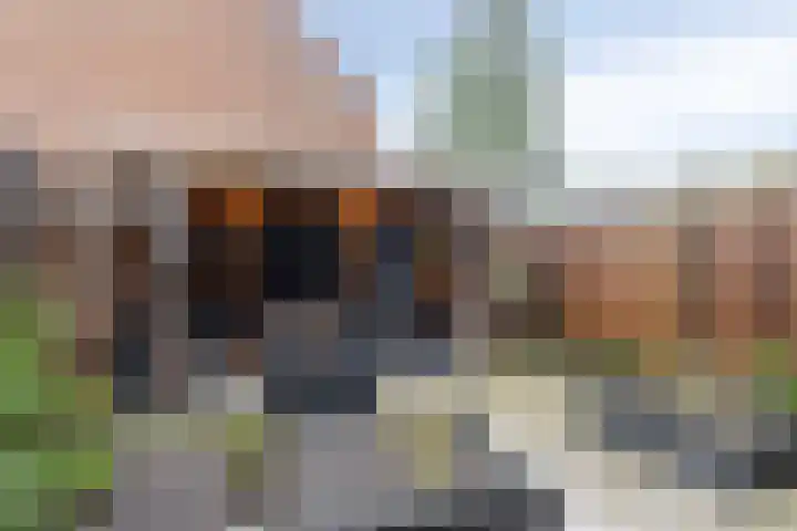 Gervinsland 24 Middelburg thumbnail 8