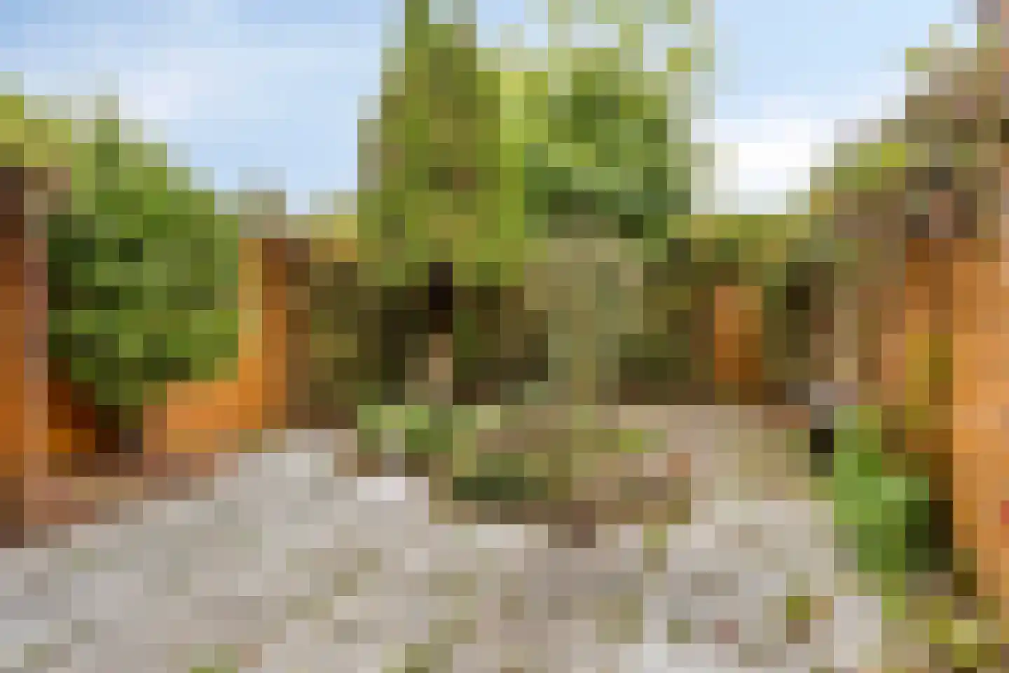 Gervinsland 9 Middelburg thumbnail 29