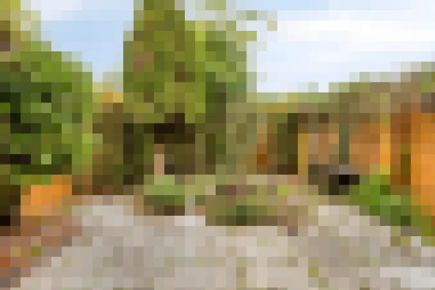 Gervinsland 9 Middelburg thumbnail 30