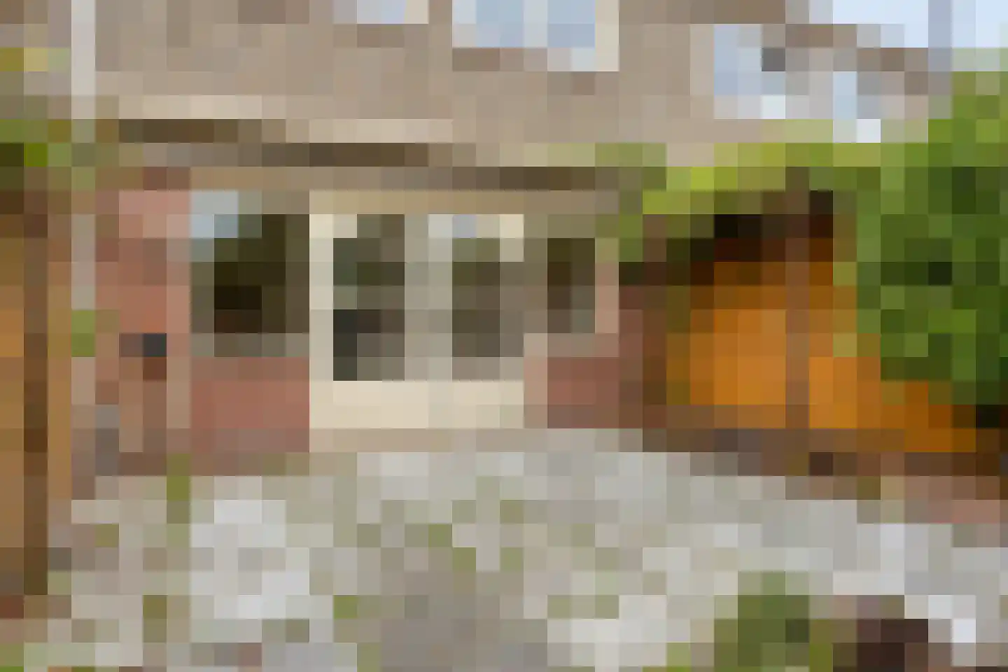 Gervinsland 9 Middelburg thumbnail 31