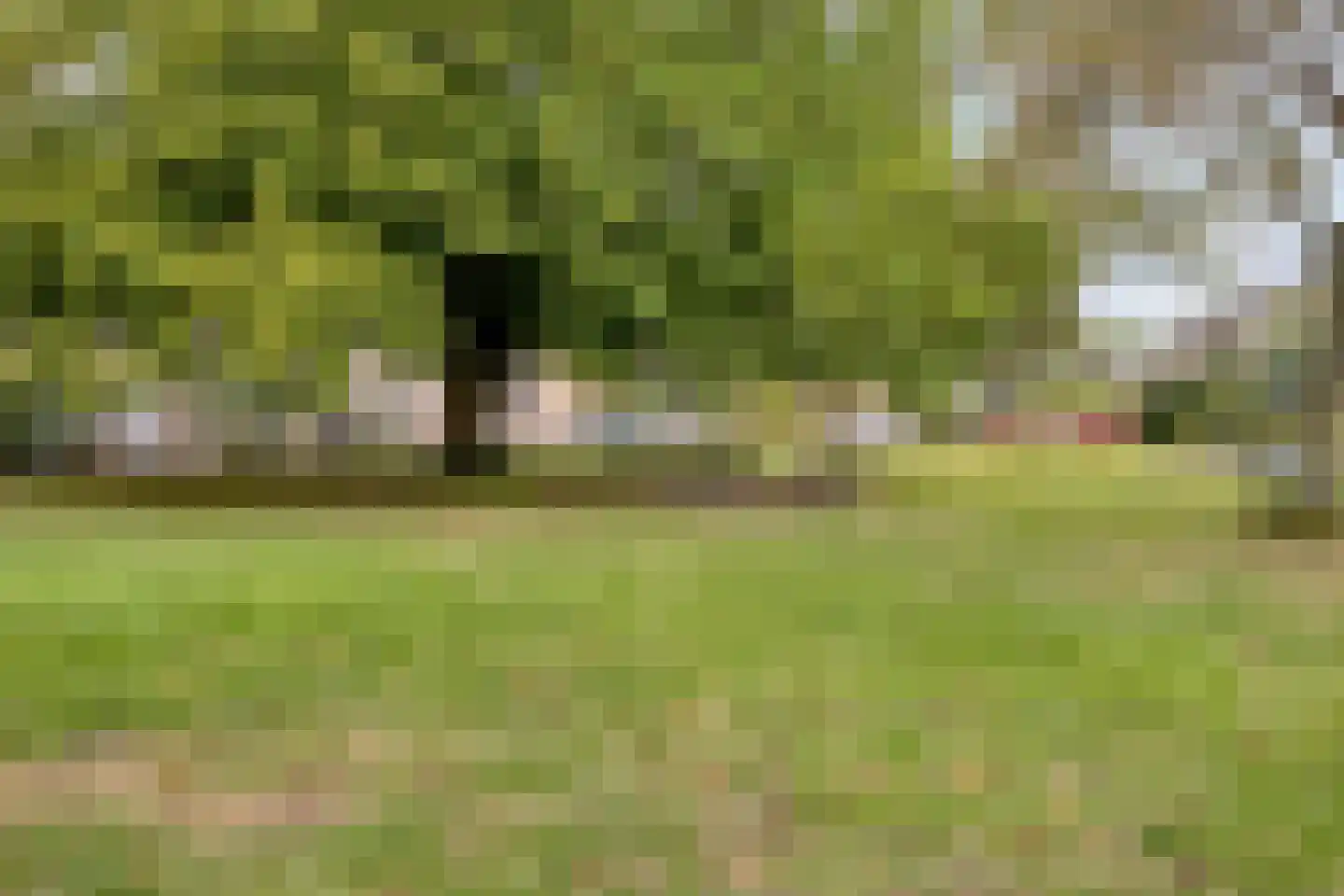 Gervinsland 9 Middelburg thumbnail 38