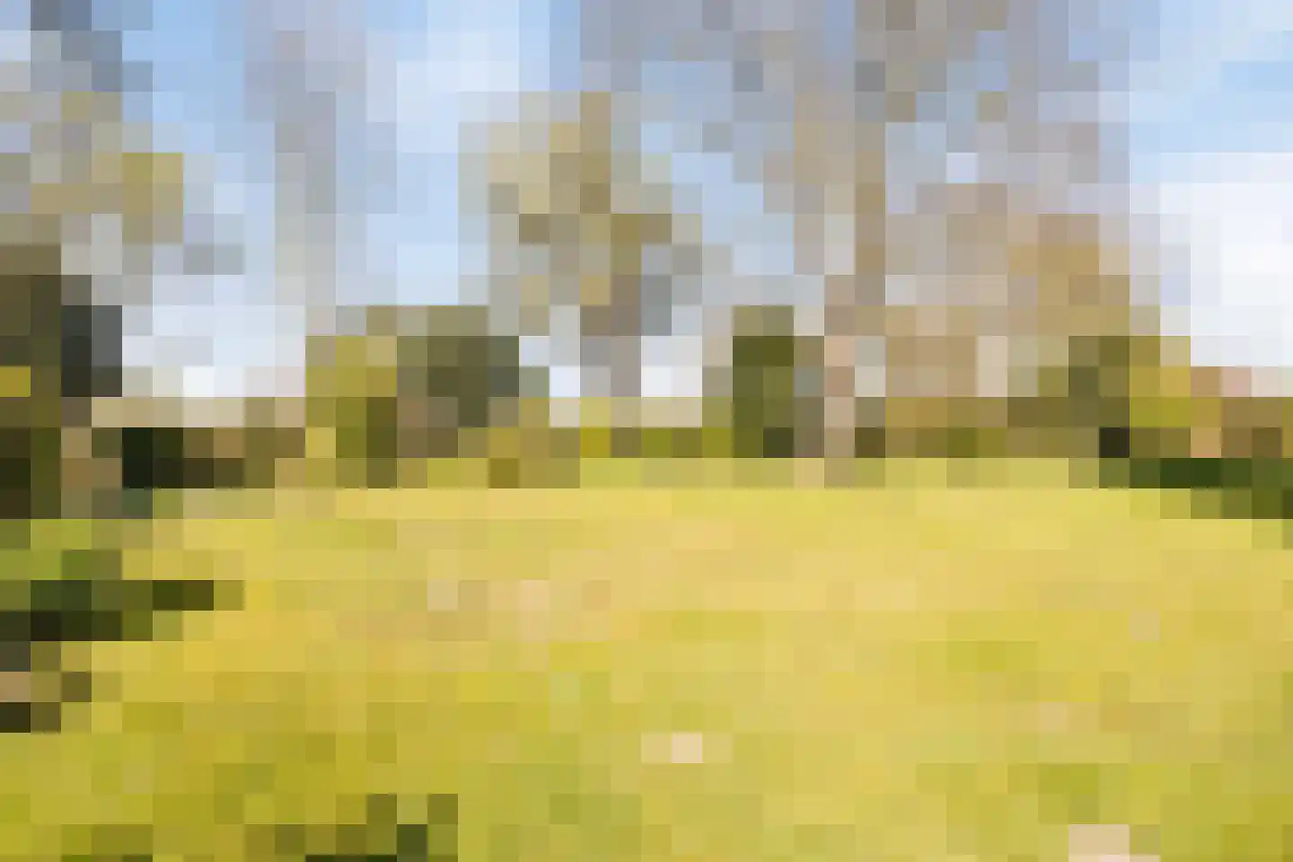 Gerwenseweg 13 Nuenen thumbnail 24