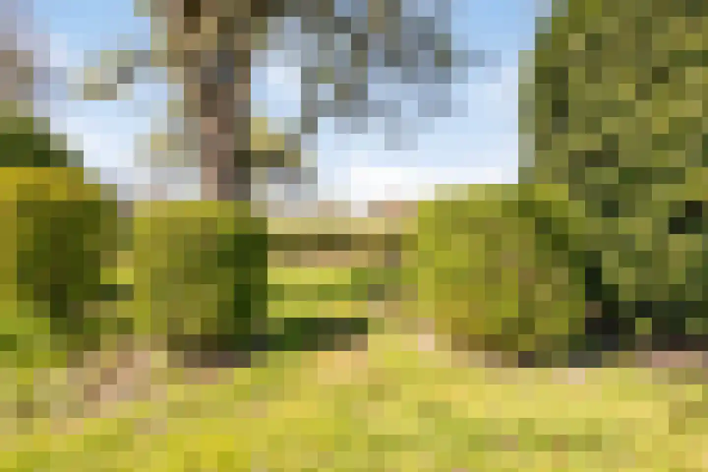 Gerwenseweg 13 Nuenen thumbnail 28