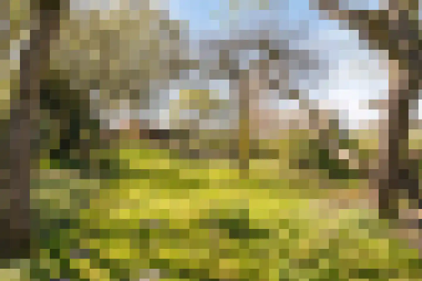 Gerwenseweg 13 Nuenen thumbnail 30
