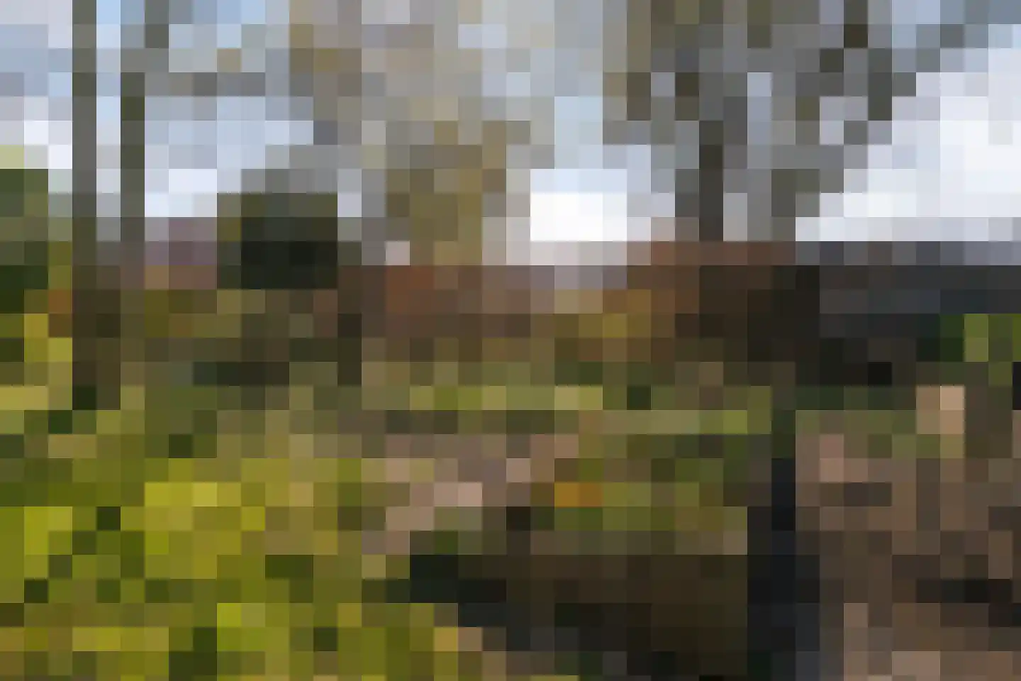 Gerwenseweg 13 Nuenen thumbnail 31