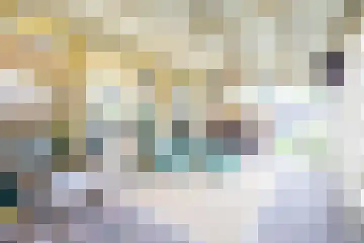 Gerwenseweg 27 Nuenen thumbnail 32