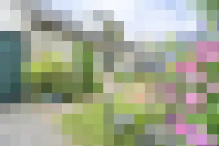 Gerwenseweg 27 Nuenen thumbnail 43