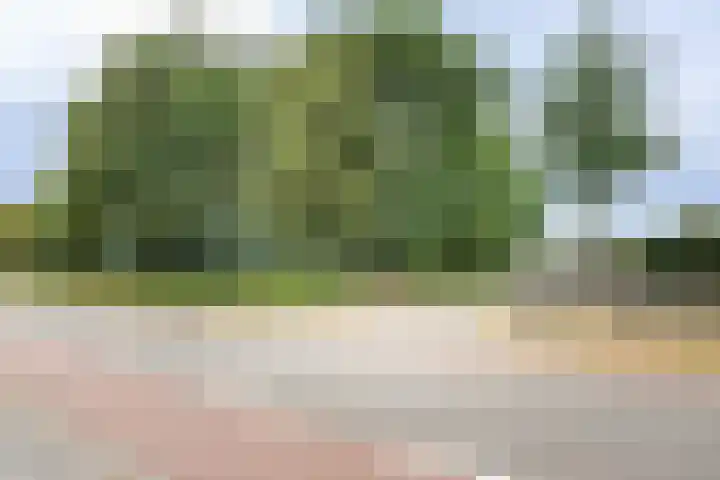 Gerwenseweg 27 Nuenen thumbnail 46
