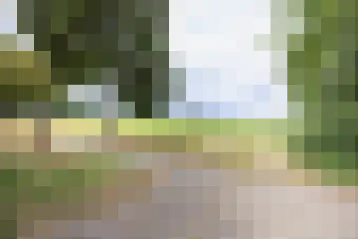 Gerwenseweg 27 Nuenen thumbnail 47