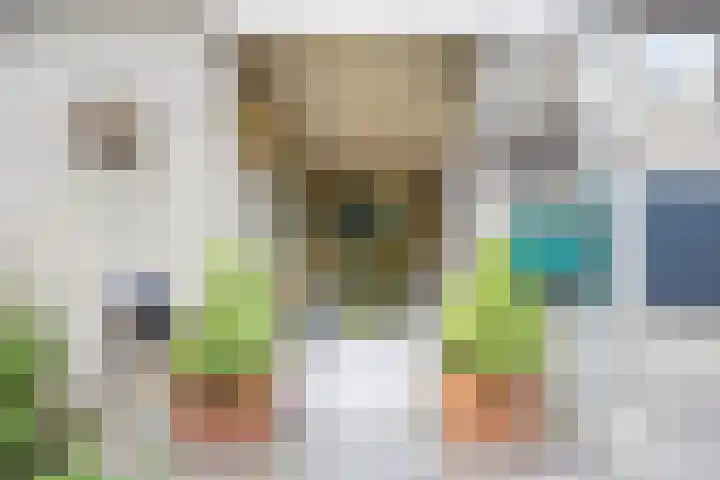 Gerwenseweg 27 Nuenen thumbnail 7