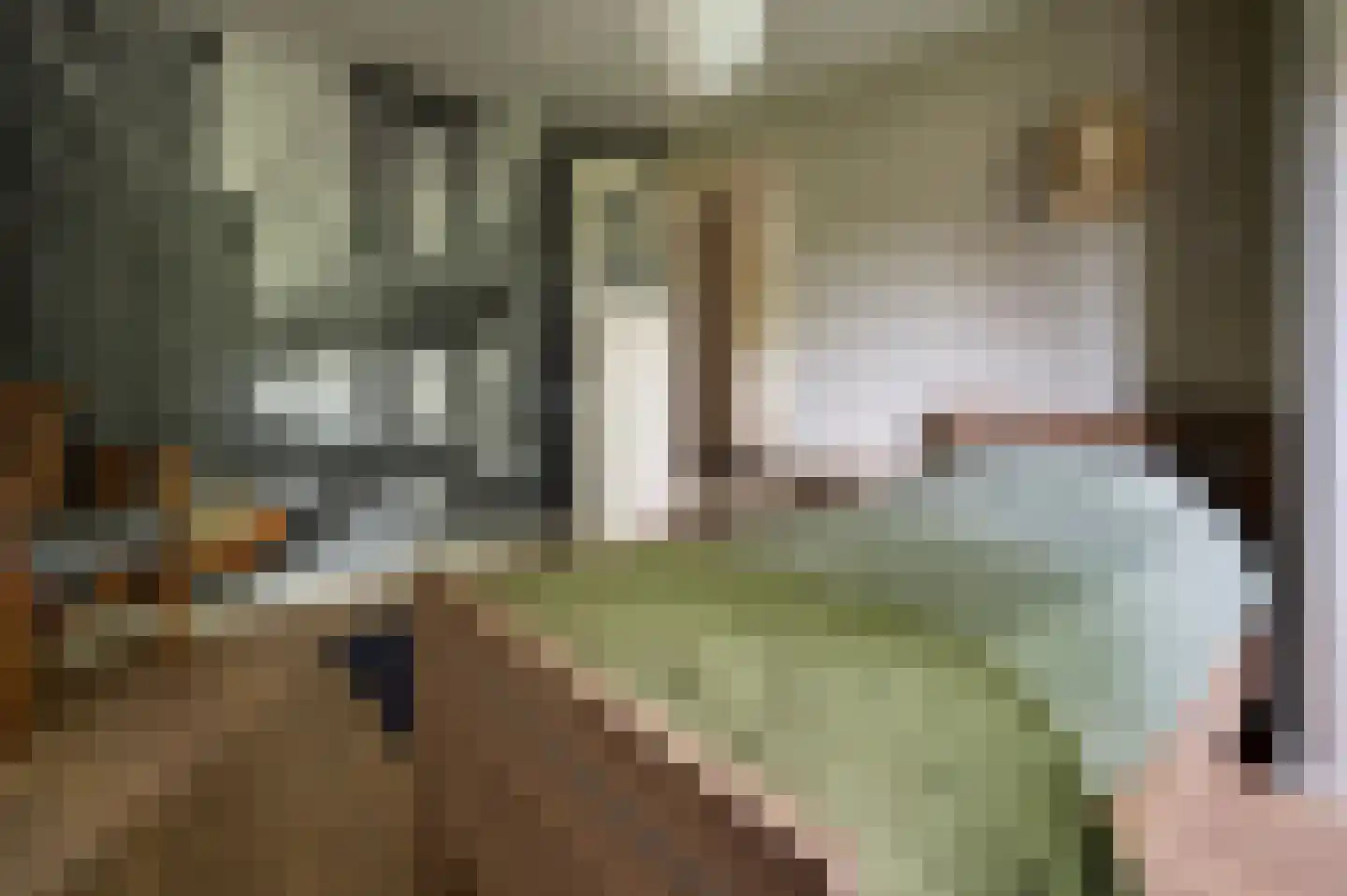 Gerwenseweg 42 Helmond thumbnail 34